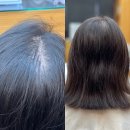 정관엘에이치4단지 이미지