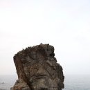 성수횟집 이미지