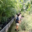 동백커피 | 통영 동백커피식물원 방문후기 가족 여행 실내 이색 카페