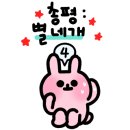 와이와이와이 이미지