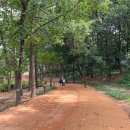 스피드메이트 신시가지점 이미지