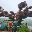 축령산편백하우스