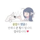 자호(Zaho) 네이버블로그