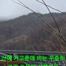 머꼬요