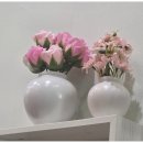 원스톱공인중개사사무소 이미지