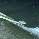 개신농장 이미지