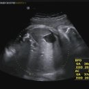 미즈맘산부인과의원 이미지