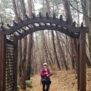 후기: 2025.12.11 촉촉했던 제1호 고갯길 충주 하늘재길 &amp; 암봉에 둘린 덕주사 &amp; 긴장되었던 악어봉 이미지