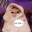 대곡1리(오목) 마을회관 | 부산, 돼지국밥, 이재모 피자 레츠고-1일차