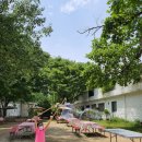 이용상 농장 | 엄마도 아이도 즐거운 평택 학농원💛