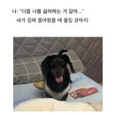 소폼과 옷만들기 중급 | 4