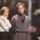 베이시스 이미지