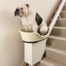 망고쿠로 이미지