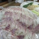 혁이네식당 | [제주] 서귀포 회 현지인 맛집 추천 – 혁이네수산 벤자리 후기, 8월 제철 자연산 회의 감동!🌊