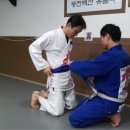 용호도장 이미지