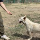 준독트레이닝센터 이미지