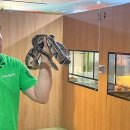 자연아 놀자자연생태탐험대 | 강릉 아이와 함께 가볼만한 곳 &#39;자연아놀자&#39; 생태체험관(내돈내산)