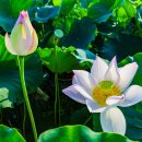 농업기술센터1층 화장실 이미지