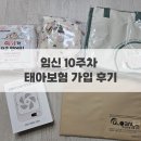 100세동안(수정점) | 임신 10주차_현대해상 태아보험 가입 후기 / 사은품