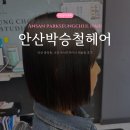 중앙동222 이미지