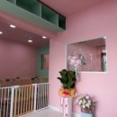 펫 애견샵 이미지