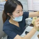 청담리덴동물치과병원 이미지