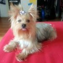 서울구남초등학교 이미지