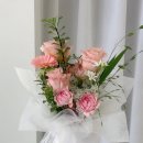 더피우리 이미지