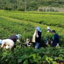 영양읍행정복지센터 이미지