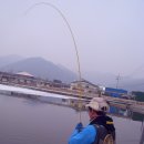 호저낚시터 이미지