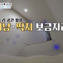 보니하우스 이미지