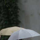 온세상