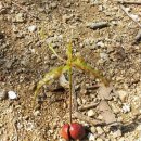 수만농장 이미지