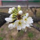 중앙공원 산책로 이미지