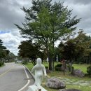 설악펫 네이버블로그