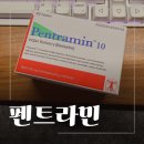 모정 | 펜트라민 마름모정 재구매 리얼 다이어트 후기 변화 기록