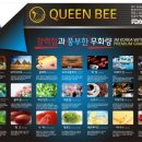 분당정자동전자담배프라자 네이버블로그