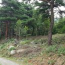 힐스타펜션 이미지