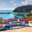 여수애견하우스 이미지