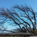 청민 행정사사무소 이미지