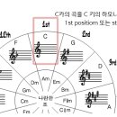 제1 포지션 주법(1st Position Playing) 이미지