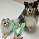 레오메디 이미지