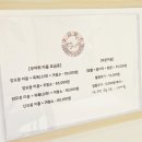 고양이 미용&호텔 뽀냥 이미지