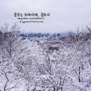 딸기책방 이미지