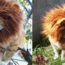 퇴계주공4단지 앞 이미지