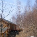 자작나무민박 이미지