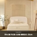 키스톤 | 허리 통증 이제 안녕 지누스 키스톤 스프링 매트리스 25cm 솔직 후기