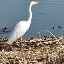 남순천의원 이미지