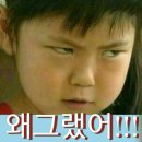 바람난강아지 이미지