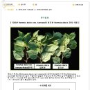 (주)생명나무 이미지